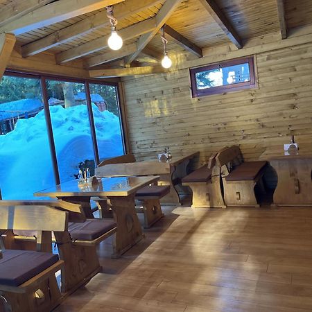 Villa Ibar Borovets Bagian luar foto